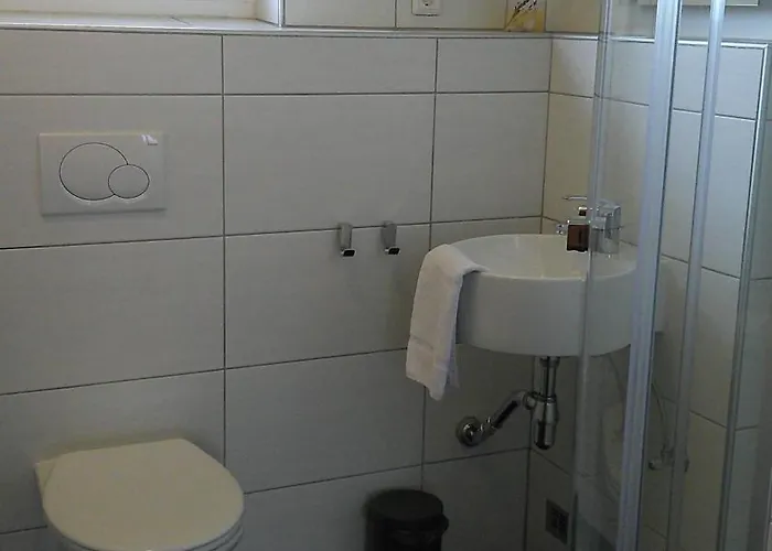 Apartment Bora Zell Am Zell am See